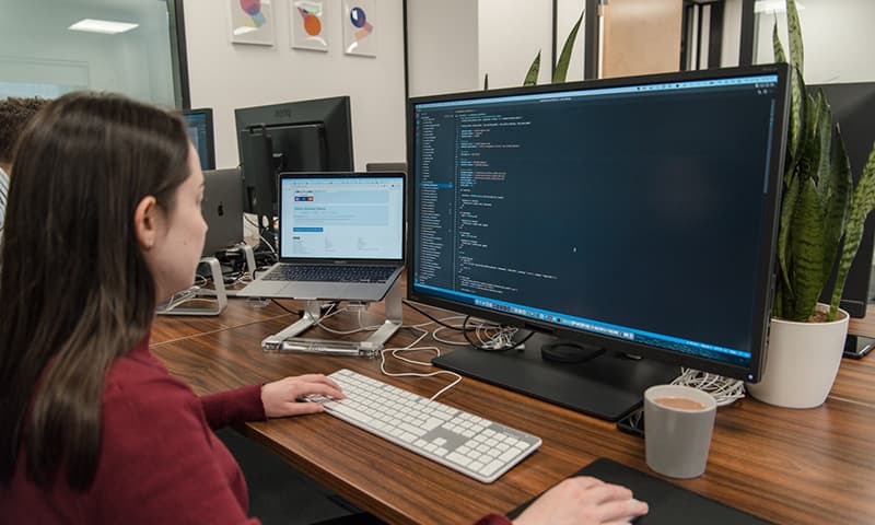 What do bespoke software developers do?